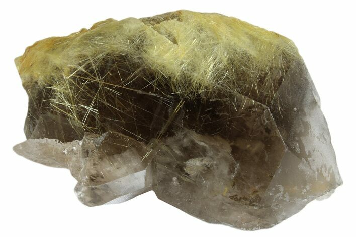 Rutilated Smoky Quartz Crystal - Brazil #172992